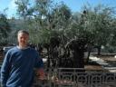 GardenOfGethsemane