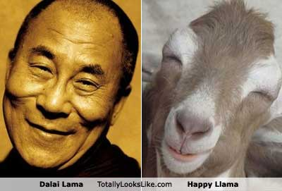 Dalai Lama & Happy Llama